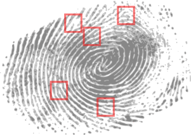 A picture of a fingerprint with four squares.